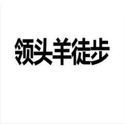 北京中視華語時訊影視策劃中心 專業影視策劃的引領者