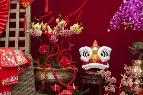 虹越黑五2019年宵花禮5折預(yù)售 與家人動手過新年，禮品花卉溫暖冬日
